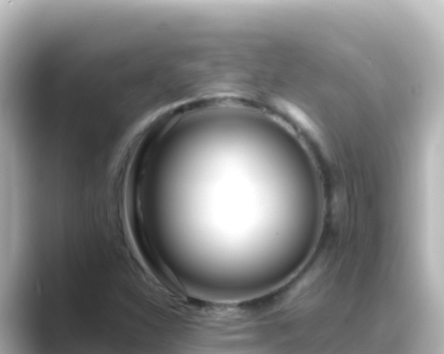 X0000089431310200706221204
