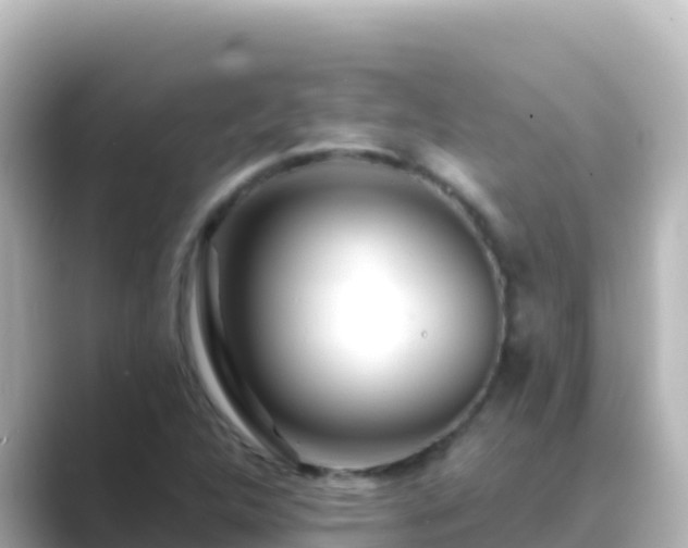 X0000089431312200706221204
