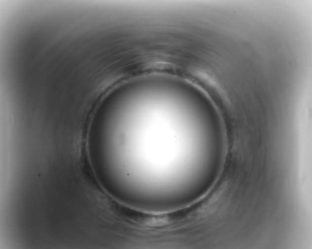 X0000089431313200706221204