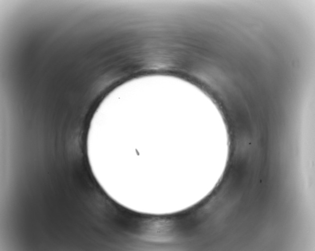 X0000089431314200706221204
