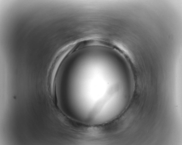 X0000089431316200706221204