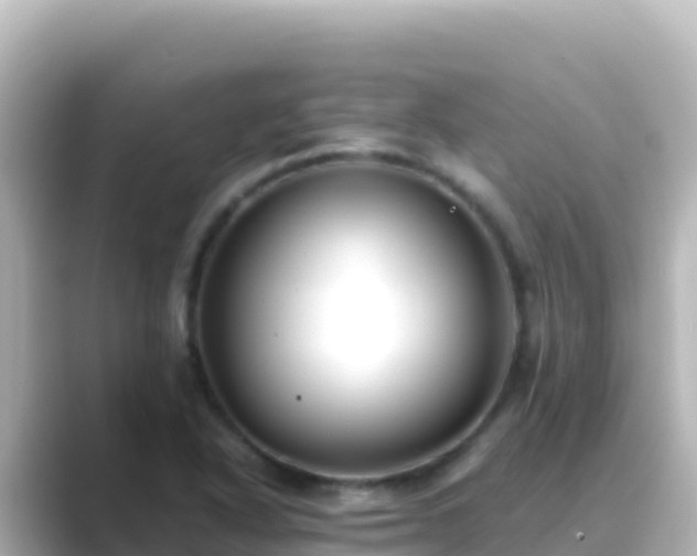 X0000089431318200706221204