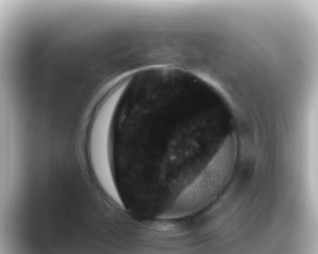 X0000089431319200706221204