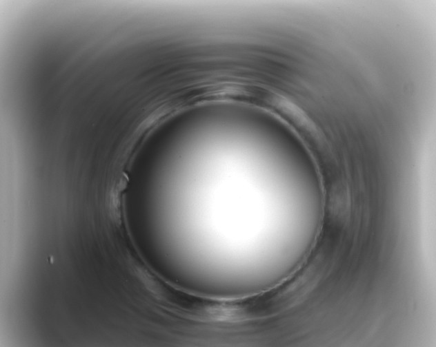 X0000089431321200706221204