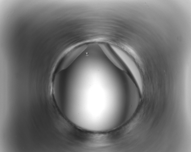 X0000089431324200706221204
