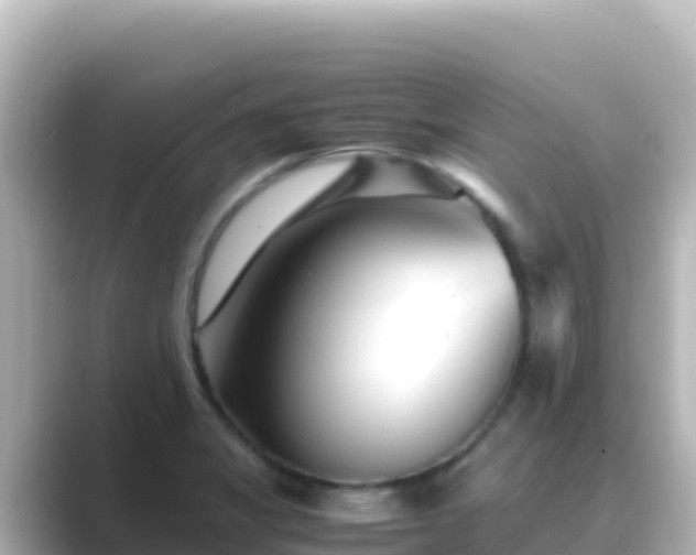 X0000089431325200706221204