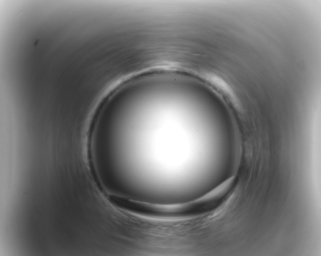 X0000089431326200706221204