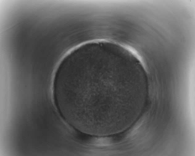 X0000089431327200706221204