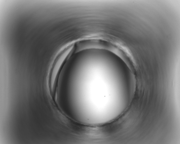 X0000089431328200706221204