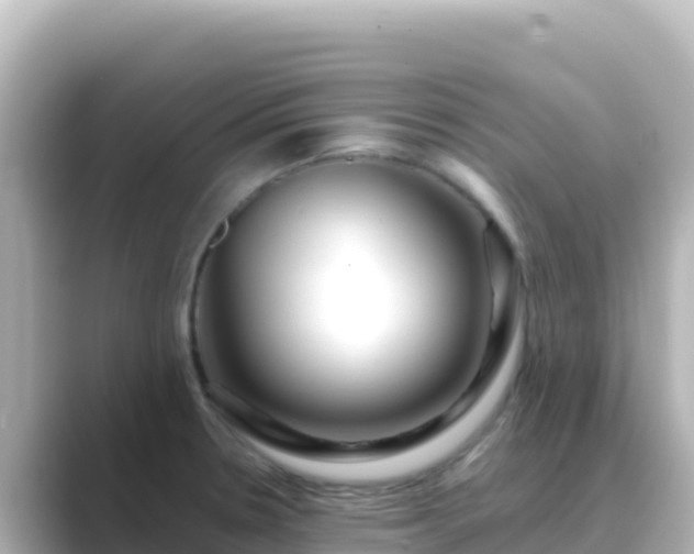 X0000089431330200706221204