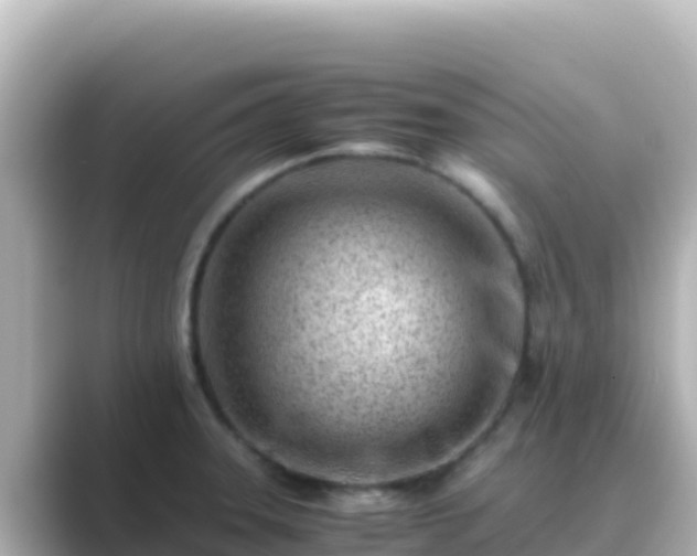X0000089431331200706221204