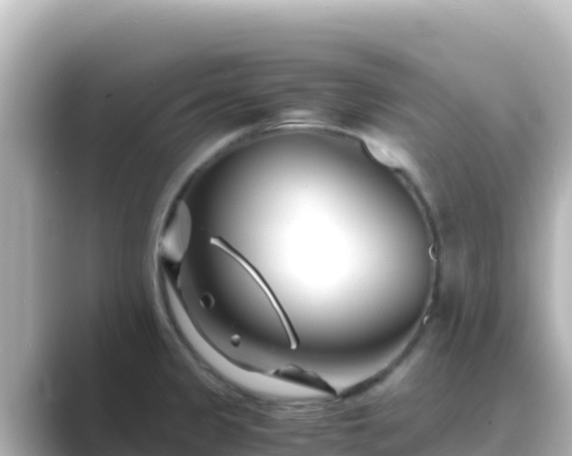 X0000089431333200706221204