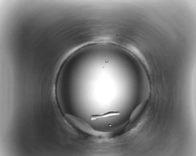 X0000089431336200706221204