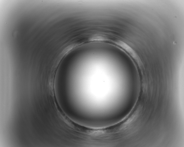 X0000089431337200706221204