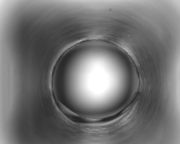 X0000089431342200706221204