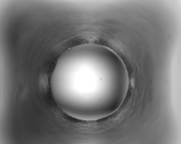 X0000089431347200706221204