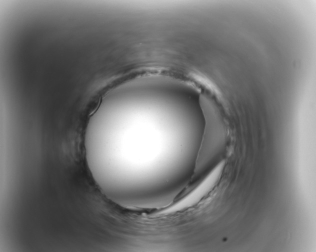 X0000089431352200706221204
