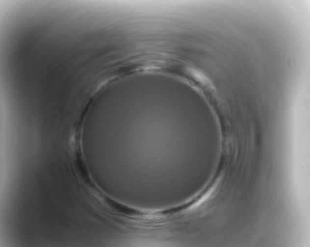 X0000089431353200706221204