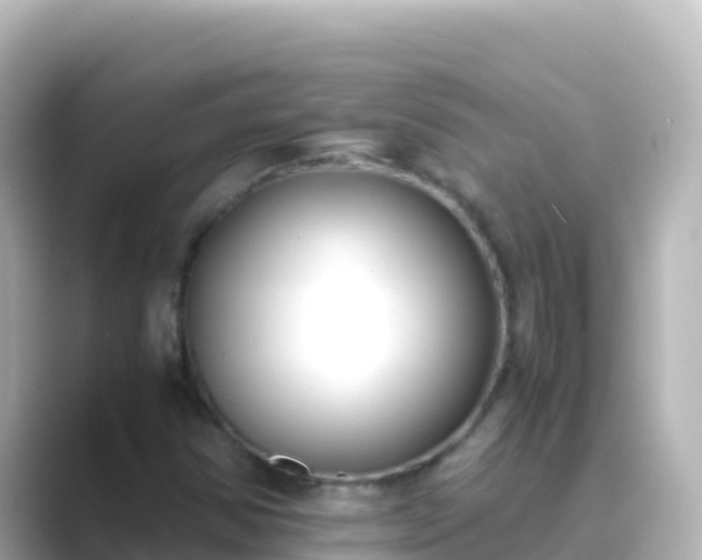 X0000089431354200706221204