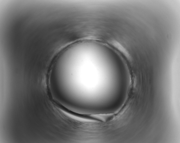 X0000089431356200706221204