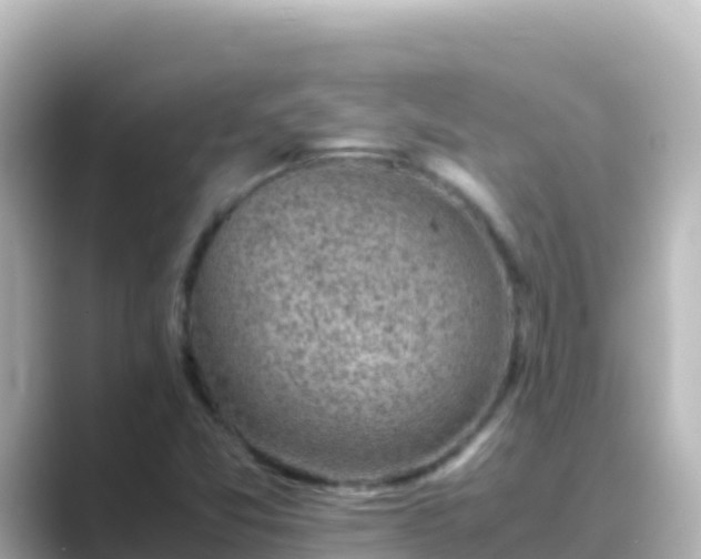 X0000089431357200706221204