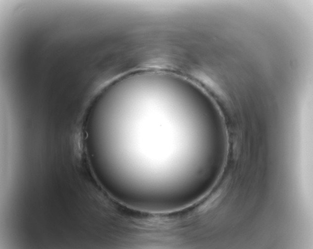 X0000089431358200706221204
