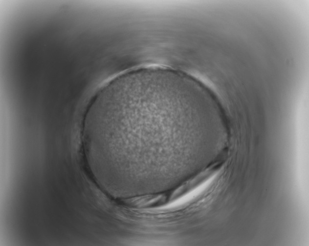 X0000089431359200706221204