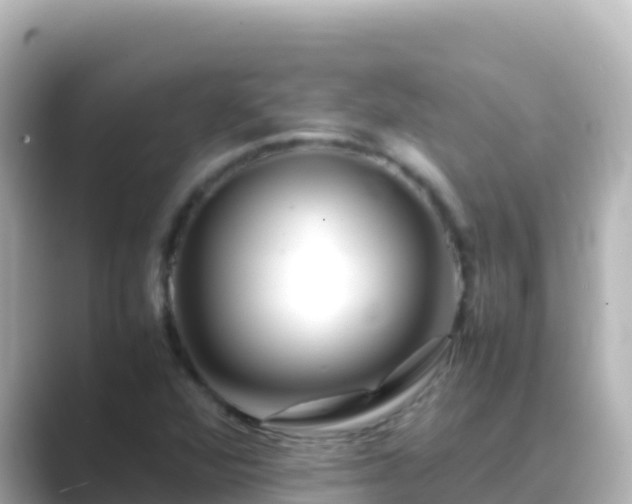 X0000089431360200706221204