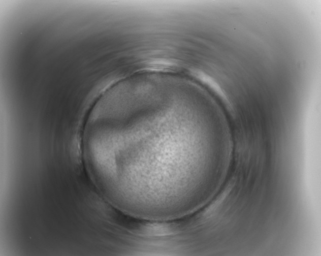 X0000089431362200706221204