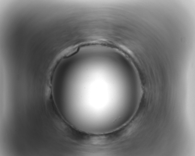 X0000089431363200706221204