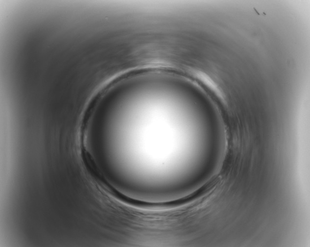 X0000089431364200706221204