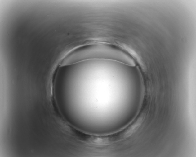X0000089431365200706221204