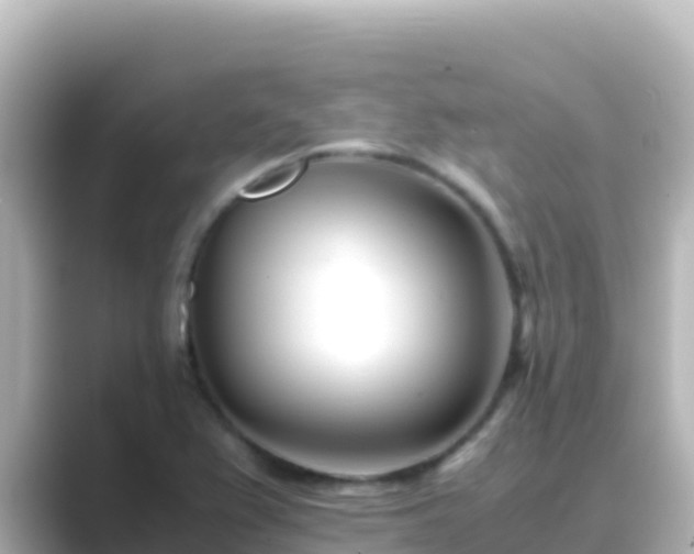 X0000089431367200706221203