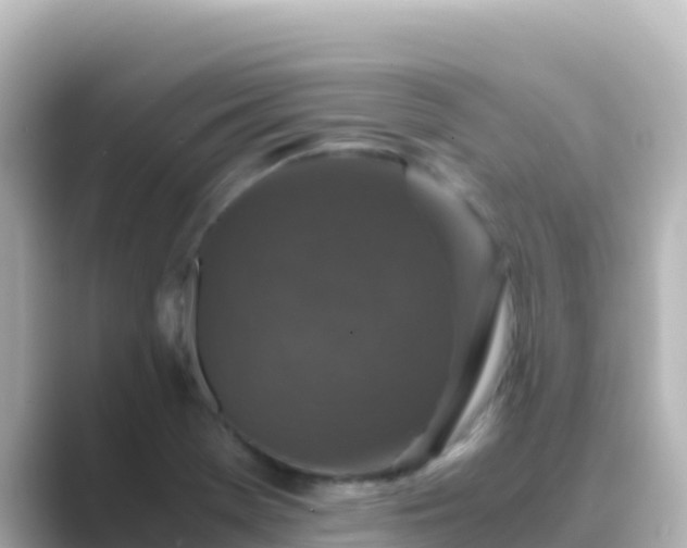 X0000089431369200706221203