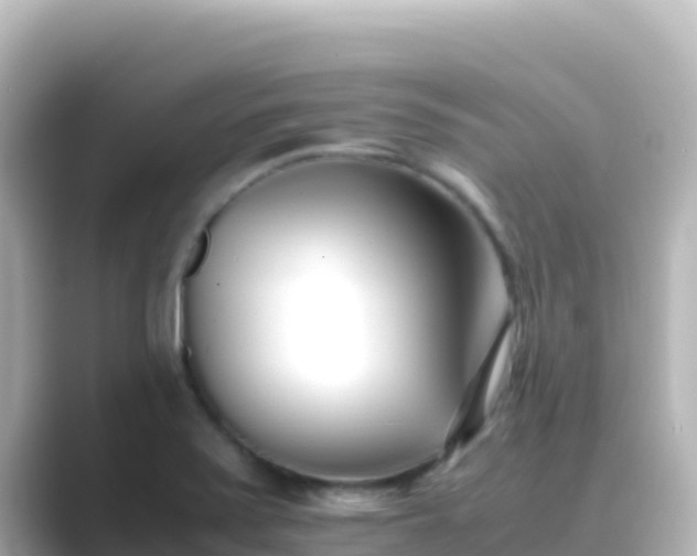 X0000089431371200706221203