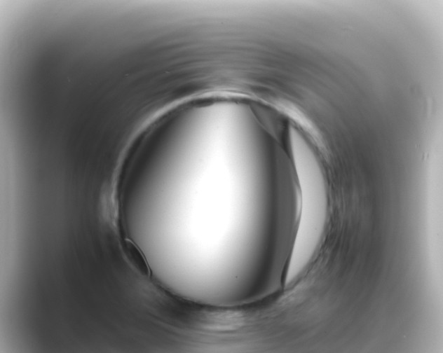 X0000089431372200706221203