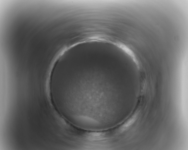 X0000089431373200706221203