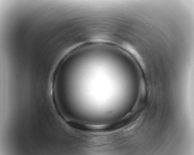 X0000089431376200706221203