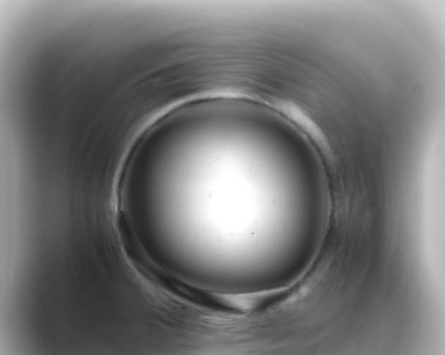 X0000089431380200706221203