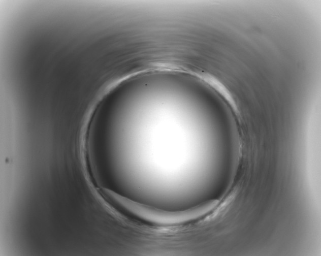 X0000089431381200706221203