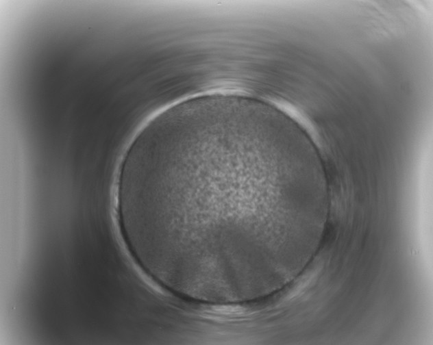 X0000089431383200706221203