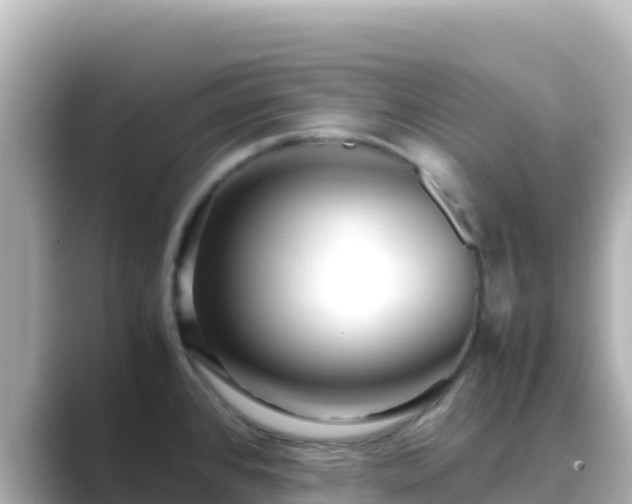 X0000089431384200706221203