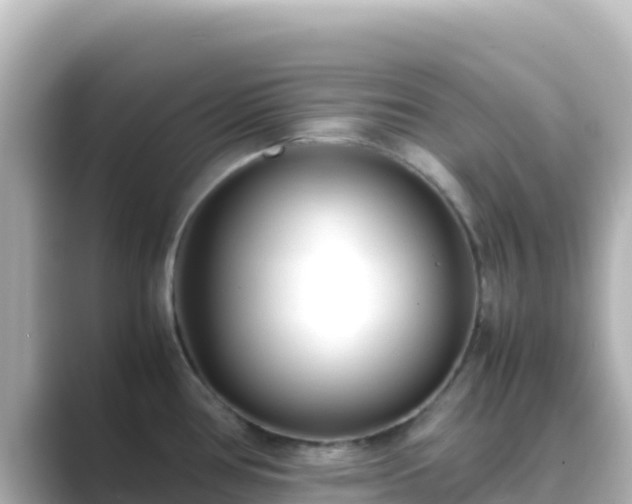 X0000089431386200706221203