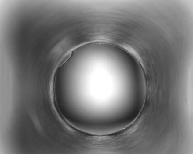 X0000089431391200706221203