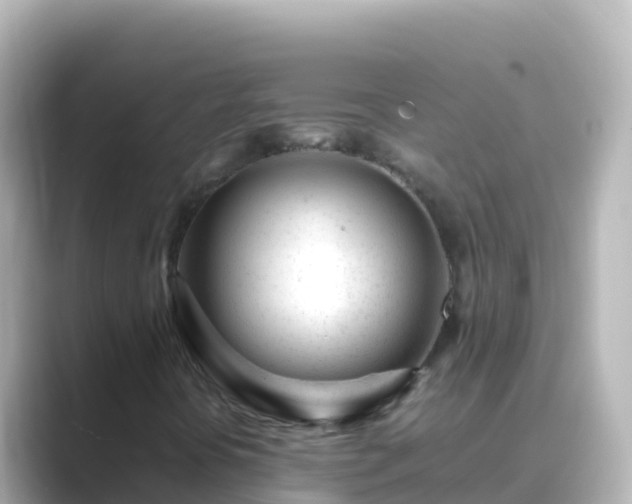 X0000089431394200706221203