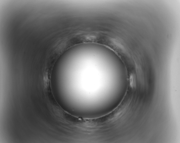 X0000089431395200706221203