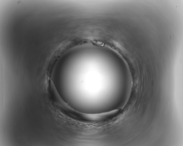 X0000089431398200706221203