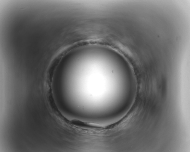 X0000089431400200706221203