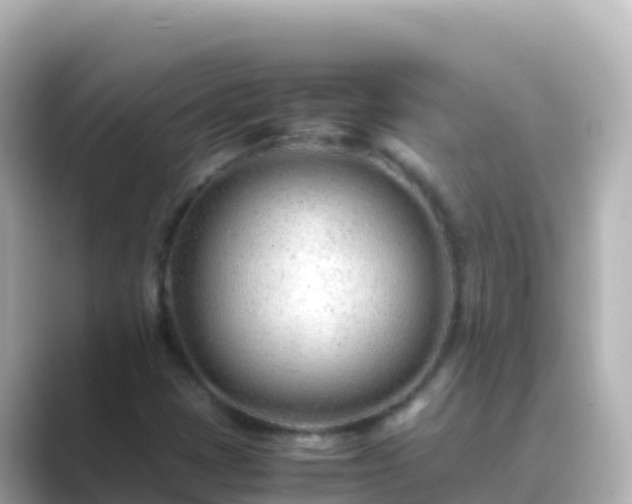 X0000089431401200706221203