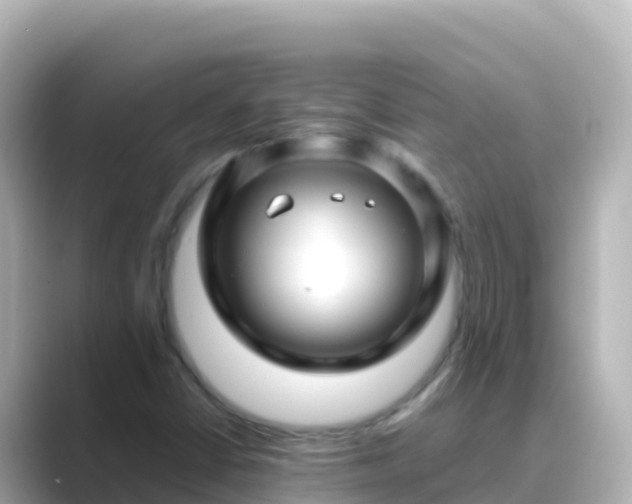 X0000089431402200706221203